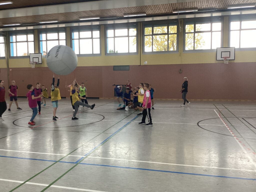 Bild 5